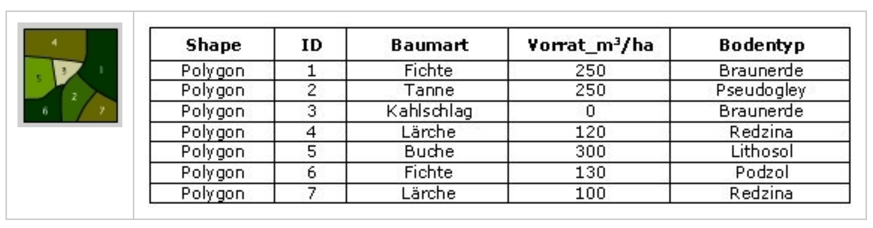 Input Daten zu den folgenden Abfragen