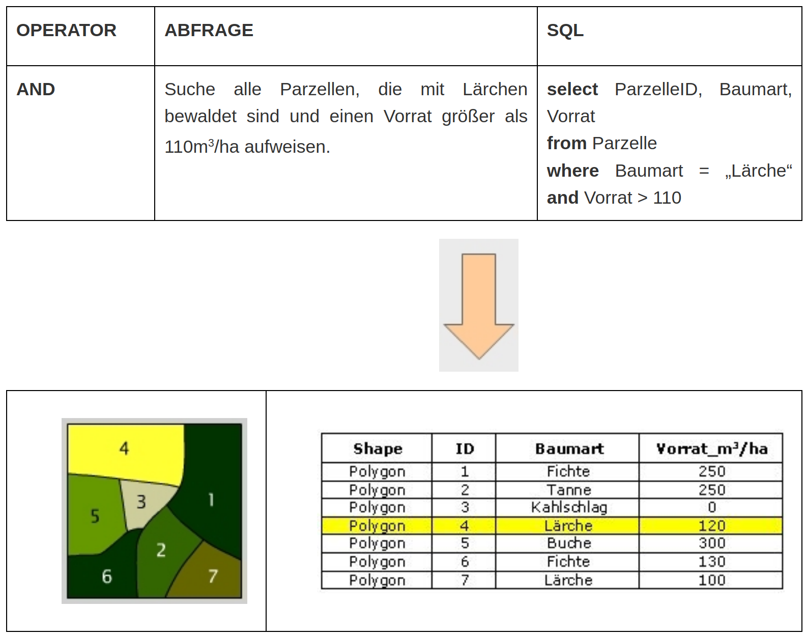 Die logische Verknüpfung AND