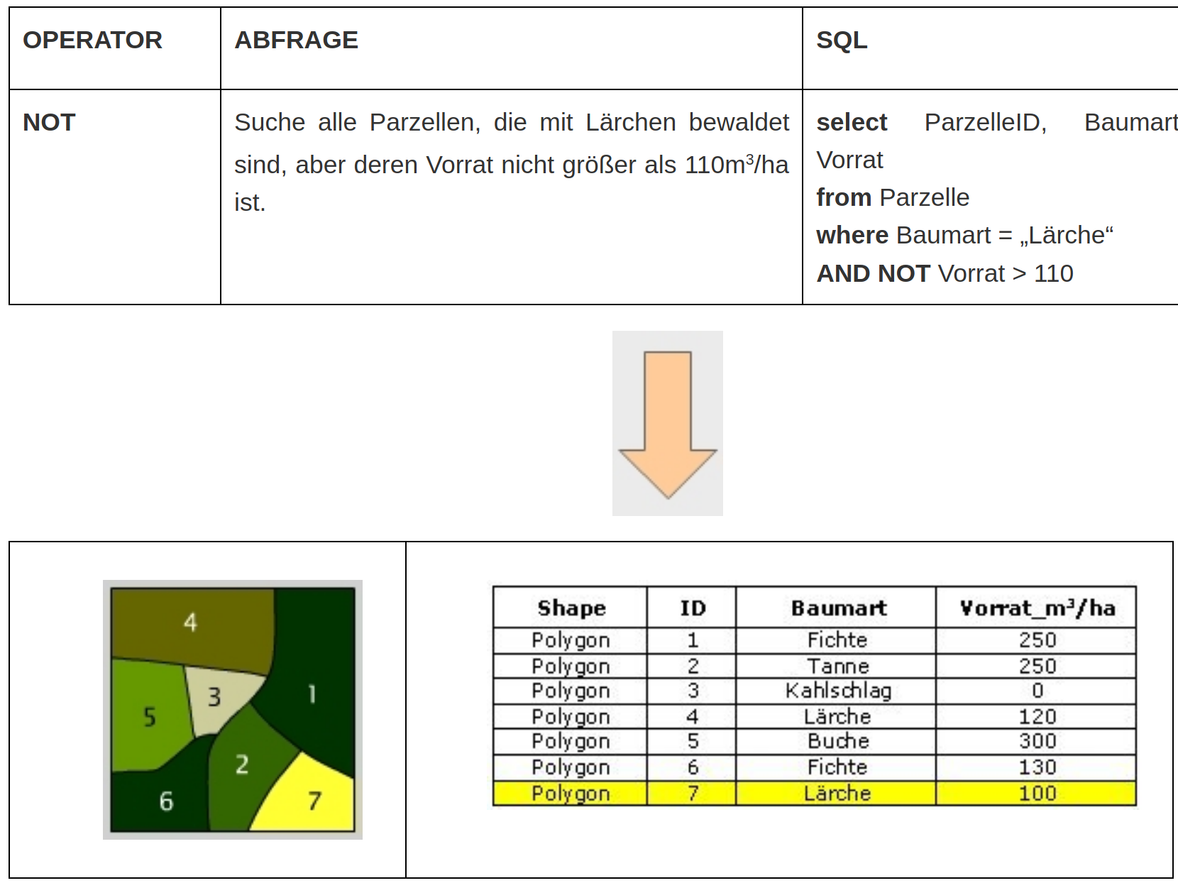 Die logische Verknüpfung NOT