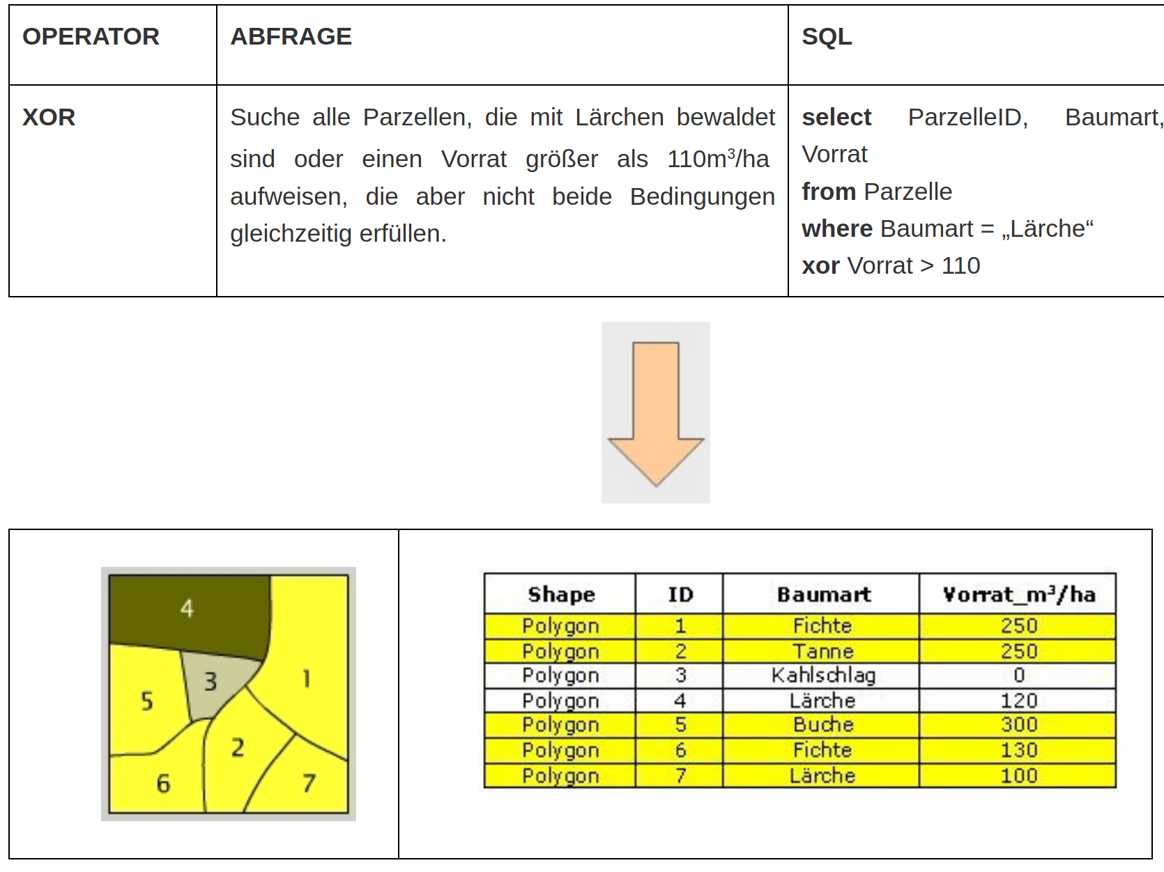 Die logische Verknüpfung XOR