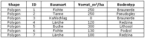 Beispielhafte Relation "Waldparzellen"